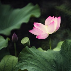 DSC05346a1x1