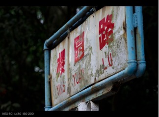 无樱花的樱园路