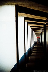 Inverted World