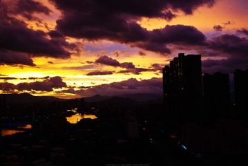 DSC04453.jpg