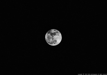 月太美