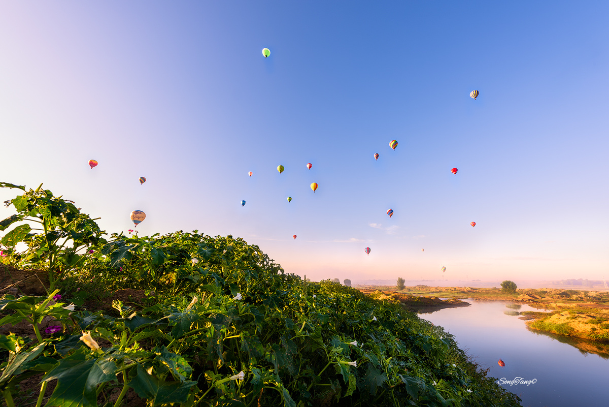 阳光灿烂的清晨