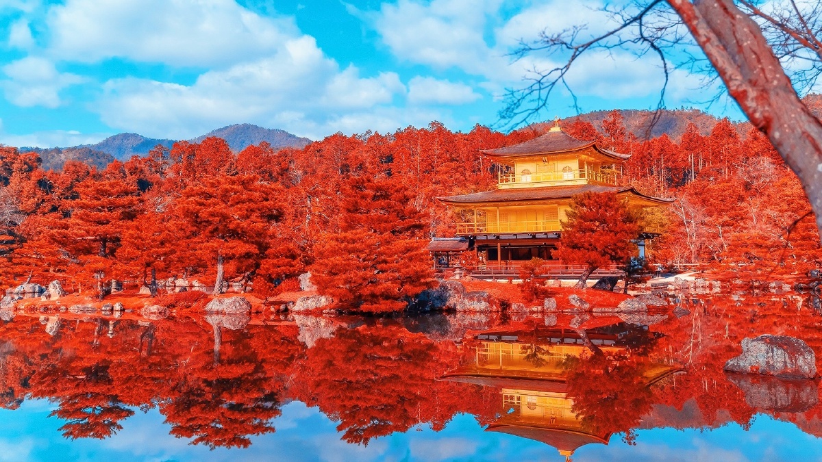 2019 京都大阪游 京都·金阁寺