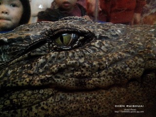 IMG_20121110_110447