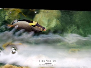 IMG_20121110_111656