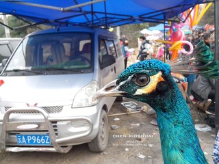 IMG_20140301_120402