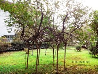 IMG_20120917_140220