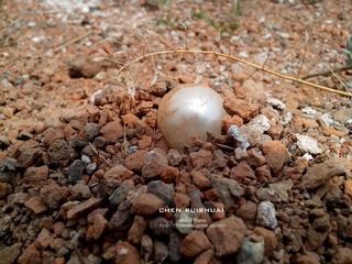 IMG_20130327_135148