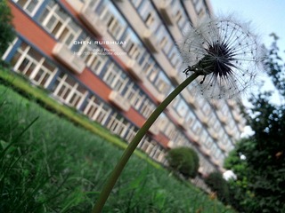 IMG_20130621_190121