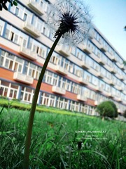 IMG_20130621_190402