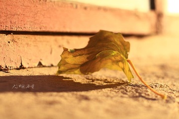 IMG_1023.JPG