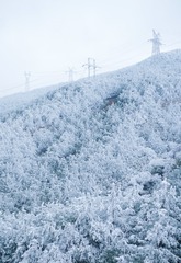 P1050020