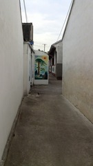IMG_20150514_072618