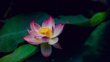 001