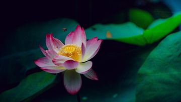 001