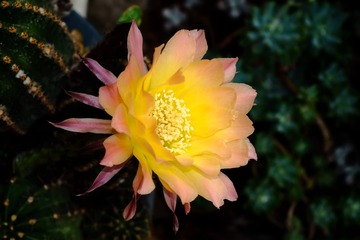 001