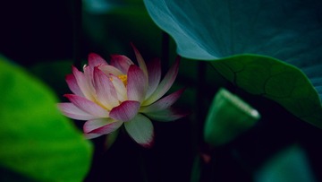 001