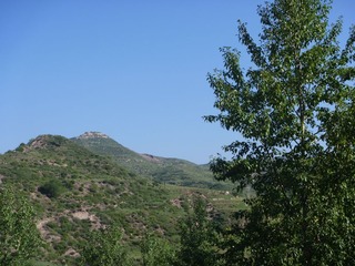 P1010974