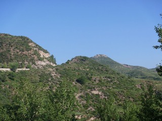 P1010975