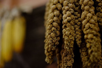2014_0531_22510500