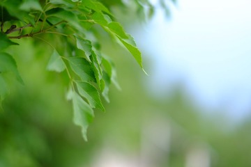 2014_0602_01502800