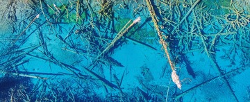 DJI_0027