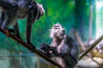 _DSC3381