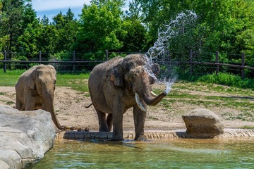 _DSC3400