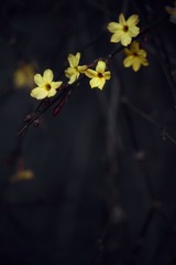A8A175AF-583F-4817-B4F0-B4F0192DD211/L0/001