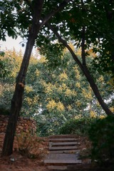 5FE71883-DCD8-4179-A9D9-5484C5E6AE24/L0/001