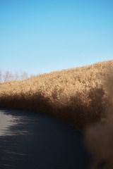 72321628-DD48-49FE-9565-7C1377D71FE0/L0/001