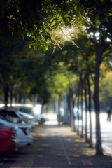 983E0177-64A3-4D01-A0F6-F74D310B9318/L0/001