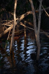 50D05698-88A9-4DF9-A0BD-3F3C02AC5494/L0/001