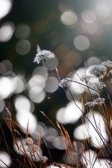 4FB72B65-F296-45E8-B3F3-340AC984582F/L0/001