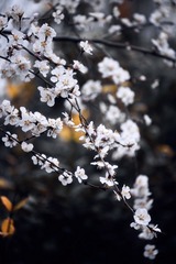 998699DC-CE48-4A0B-8AEC-C2B762440977/L0/001