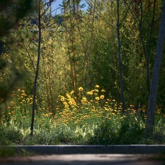 A18D9C3F-F7A1-43DB-8739-7F839874F451/L0/001