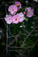 3B09230C-7051-4B0B-A1AA-B4B2BA4D9DED/L0/001