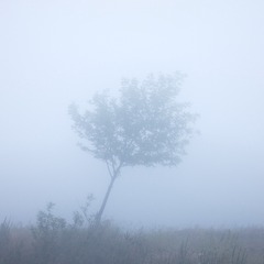 2D252BBA-AC76-4B7D-A4AE-6D796FC7FFC1/L0/001