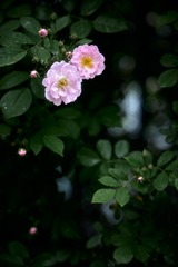 5F1E42B6-510F-427F-A75D-6ECD1C79ABCD/L0/001