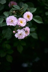 3C49870B-2169-4D23-B41F-3CB537D976E2/L0/001