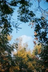 0026DA97-EA52-4755-B0A4-C74FF7CE63F5/L0/001