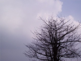 a8941054_s