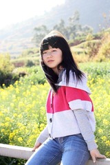 油菜花