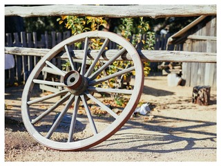 CF003951_DxO_DxO