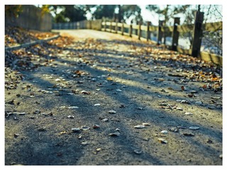 CF003964_DxO_DxO