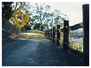 CF003963_DxO_DxO