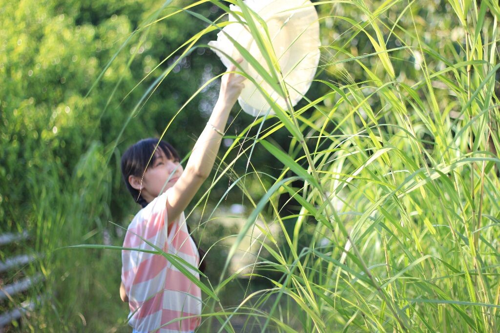 青春系1