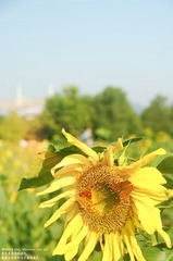 XUYA0577-编辑.jpg