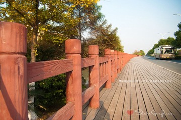 XUYA0740.jpg