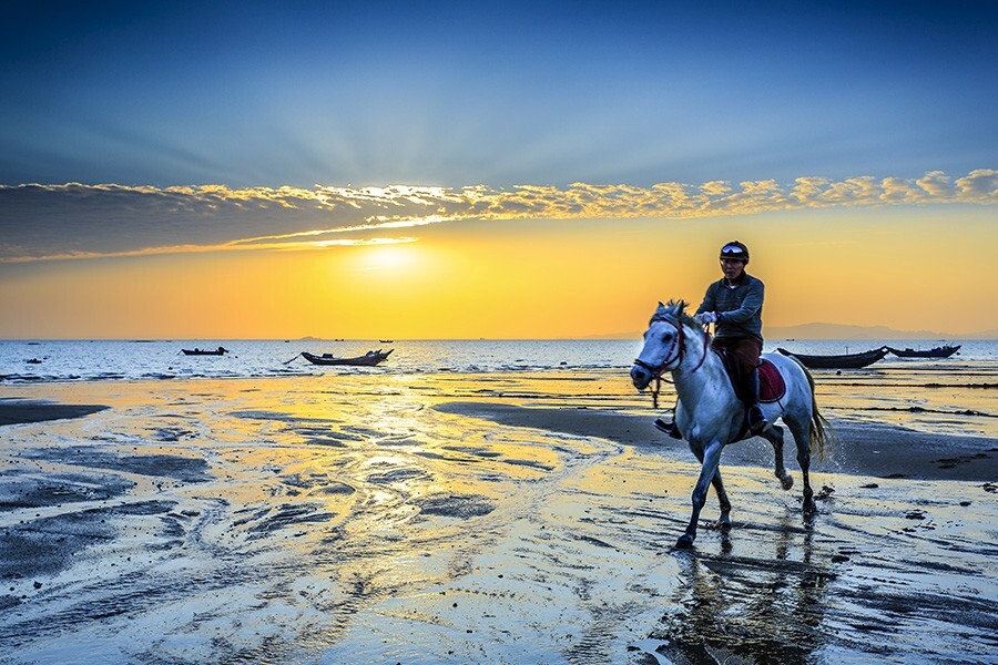冬日凌晨的海岸，一位骑师一早迎着朝霞正在训练。